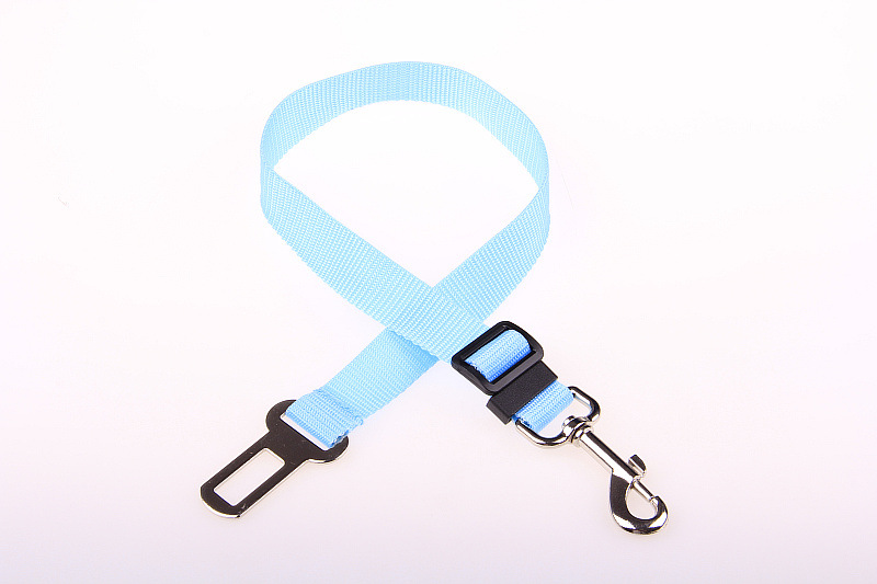 PP pet collar