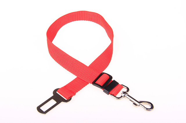 PP Pet Collar