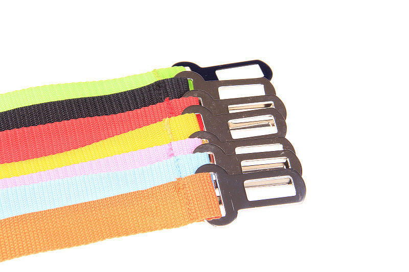 PP Pet Collar