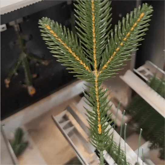 Yellow Core Painting Machine