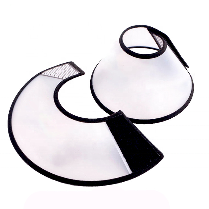 PP Elizabeth Collar