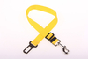 PP pet collar