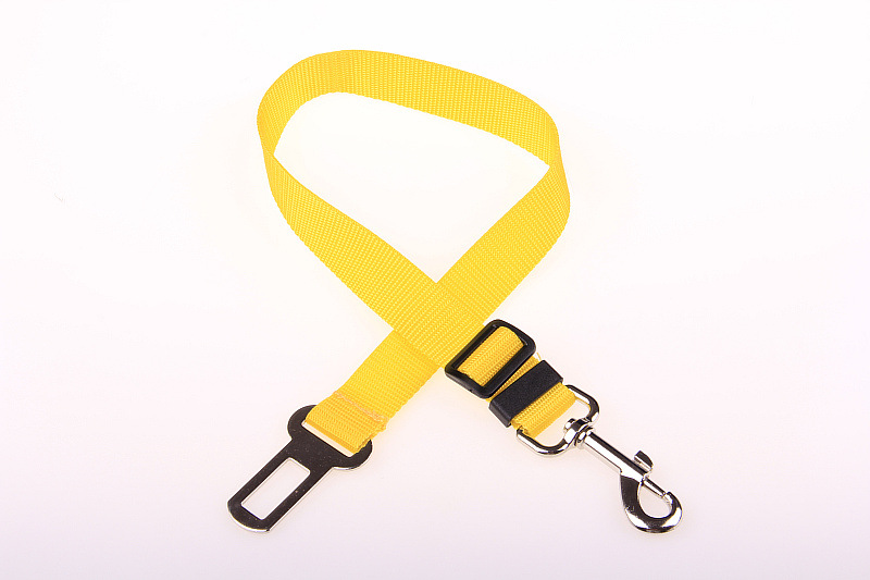 PP pet collar
