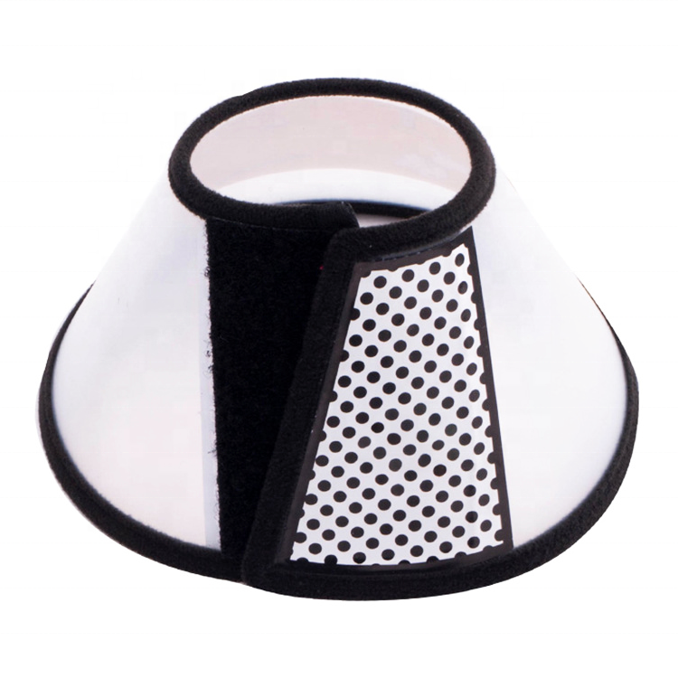 PP Elizabeth Collar