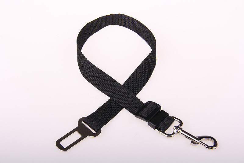 PP pet collar