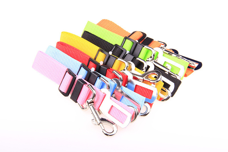 PP Pet Collar